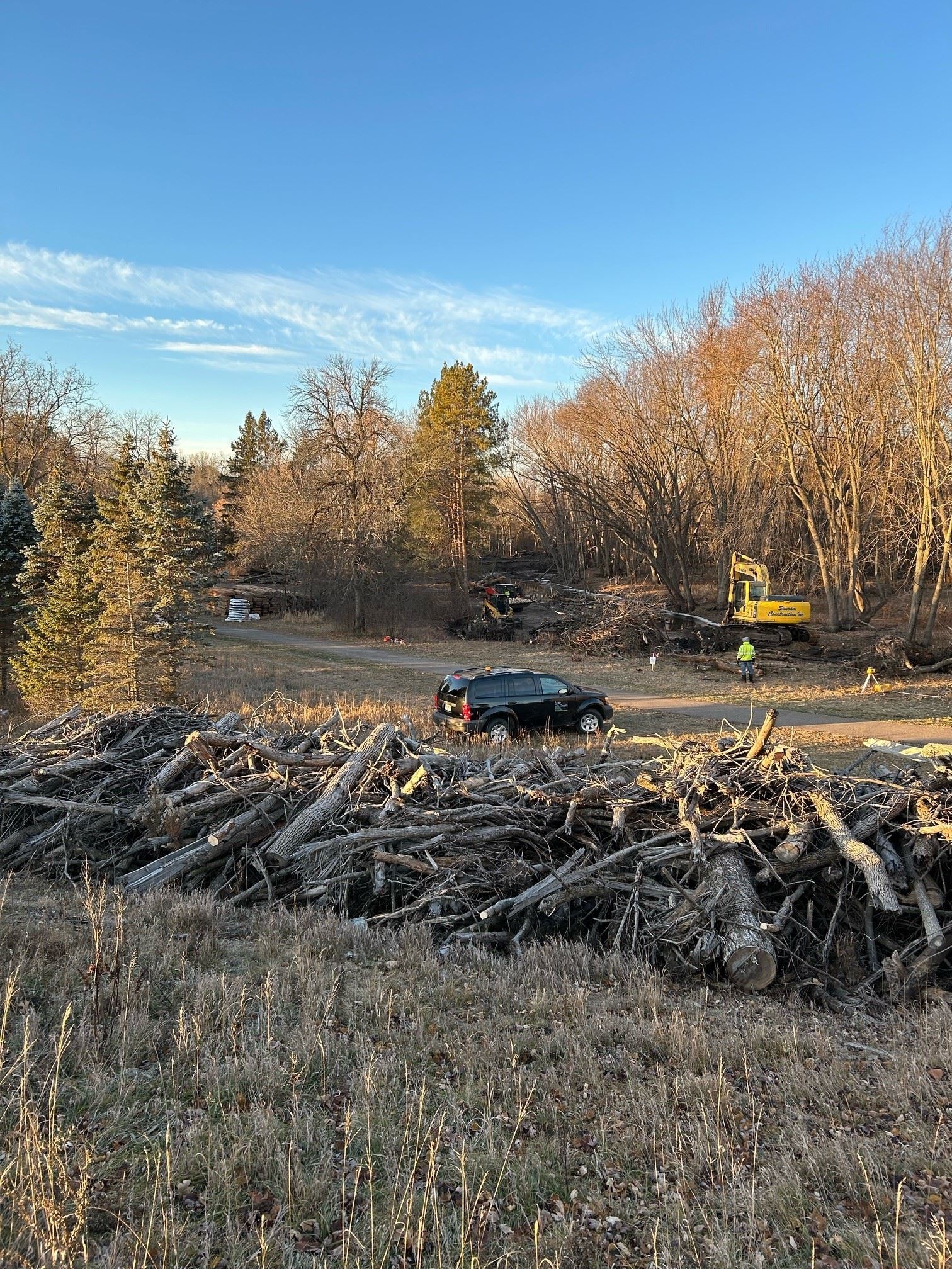 A farther shot of the stream with a row of tree logs and branches in the middle