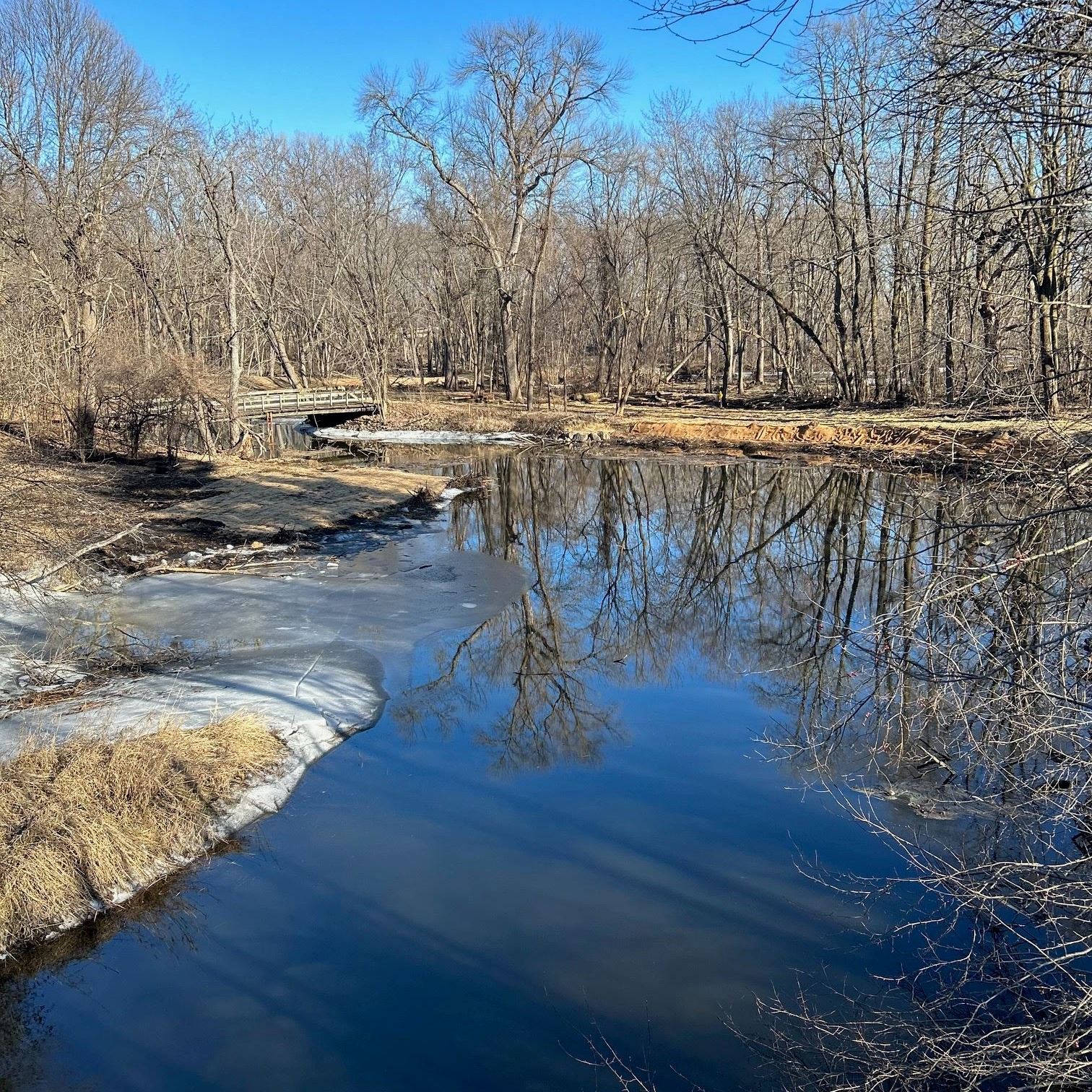 Final look of the stream after it has been restored.