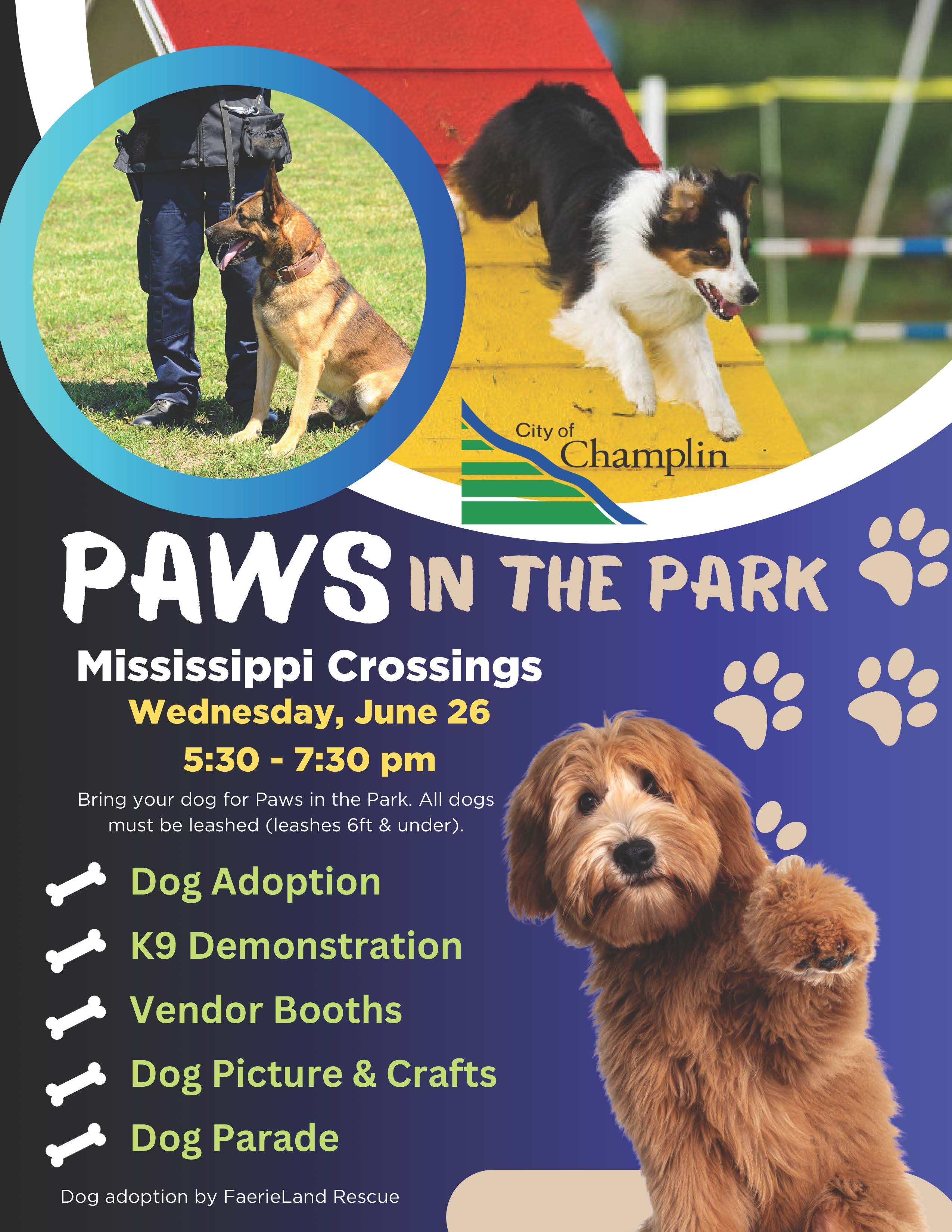 Paws in the Park Flyer