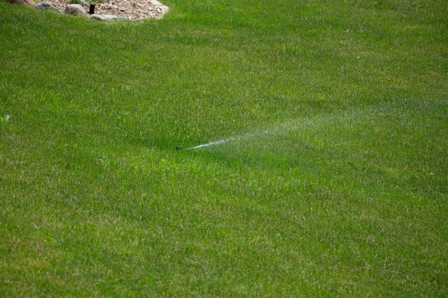 Sprinkler system watering lawn to keep green in summer