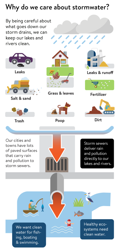infographic showing how stormwater captures pollutants and transfers them into the water bodies.